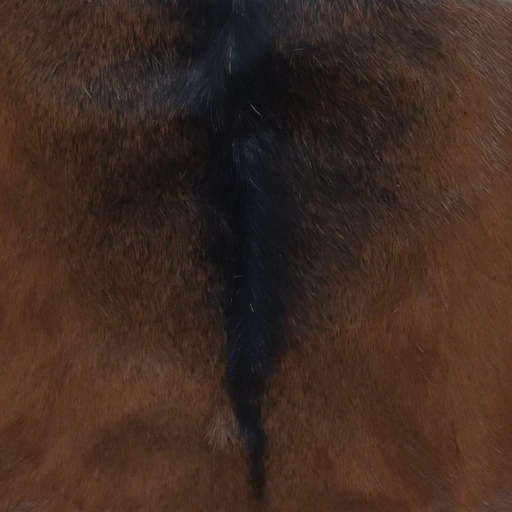 Tabouret Pliable Cuir Véritable Et Bois De Teck Massif